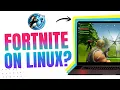 One Developer Is Trying to Fix Linux Gaming s Biggest Problem