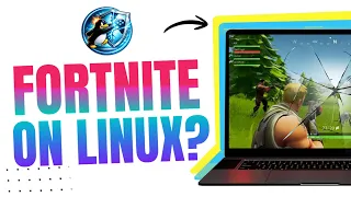 One Developer Is Trying to Fix Linux Gaming s Biggest Problem