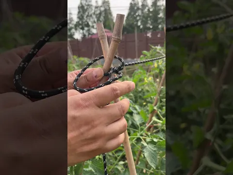Wow! Constrictor Knot on the Farm.