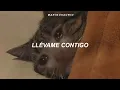Download Lagu Patrick Watson - Je te laisserai des mots (sub. español + francés)