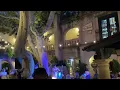 Flamenco Dance Music at El Rincon Restaurante Sedona Arizona