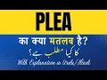 Plea Meaning in Hindi Plea Ka Kya Matlab Hota Hai Explanation Included