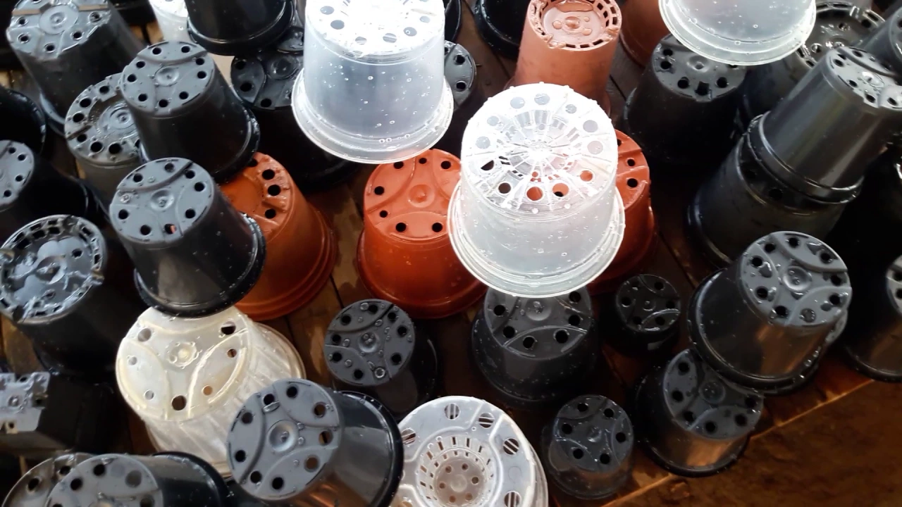 COMO INGIENIZAR E REAPROVEITAR VASOS PARA ORQUÍDEAS