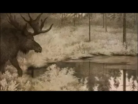 Burzum Ambient . Relaxing Album