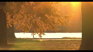 Розслаблююча музика з нотками осені Спокійна інструментальна музика для міцного сну 