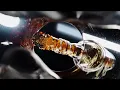 United Liquors Comapny Presents Premium Whiskey Brandy More