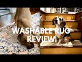 Top 5 Washable Rugs for Home Airbnb Long-Term Review After 2 Years