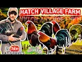 Leiper Rat Graves Hatch Village Farm