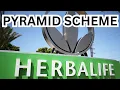 Download Lagu Multi-Level Marketing vs Pyramid Scheme: What's the Difference?