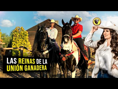 Download MP3 Las REINAS de la unión ganadera de Sonora, preparándose para competir en la EXPOGAN 2024…
