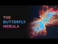 Wings of the Cosmos