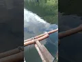 Download Lagu Mancing nila danau maninjau.....