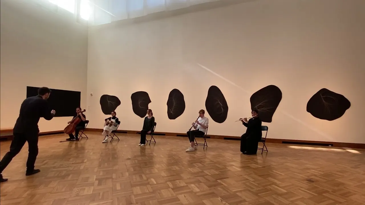 Soundpainting Performances