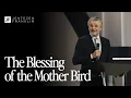 The Blessing of the Mother Bird Jentezen Franklin