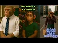 Download Lagu சிரிச்சா வயிறு வலிக்குமா?அப்ப இத பாக்காதீங்க! |Monkey comedy |Monkey videos