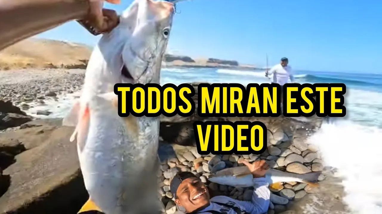 mira este gran dia pescando corvinas ..