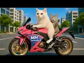 Download Lagu Mama Cat and her Kitten go Painting Ceramic Statues \u0026 Make a delicious BBQ at Home 🐱🎨