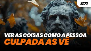 DIÁRIO ESTOICO #071 VER AS COISAS COMO A PESSOA CULPADA AS VÊ | Estoicismo