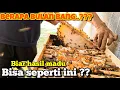 Download Lagu Lebahnya sampai keluaaarr‼️kotak budidaya dipenuhi madu‼️