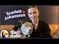 Download Lagu Scarlett Johansson Goes on A Dodo Dream Date | The Dodo