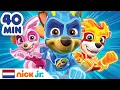 Download Lagu PAW Patrol | De dapperste reddingen van de heldhaftige pups! | Nick Jr. Nederland