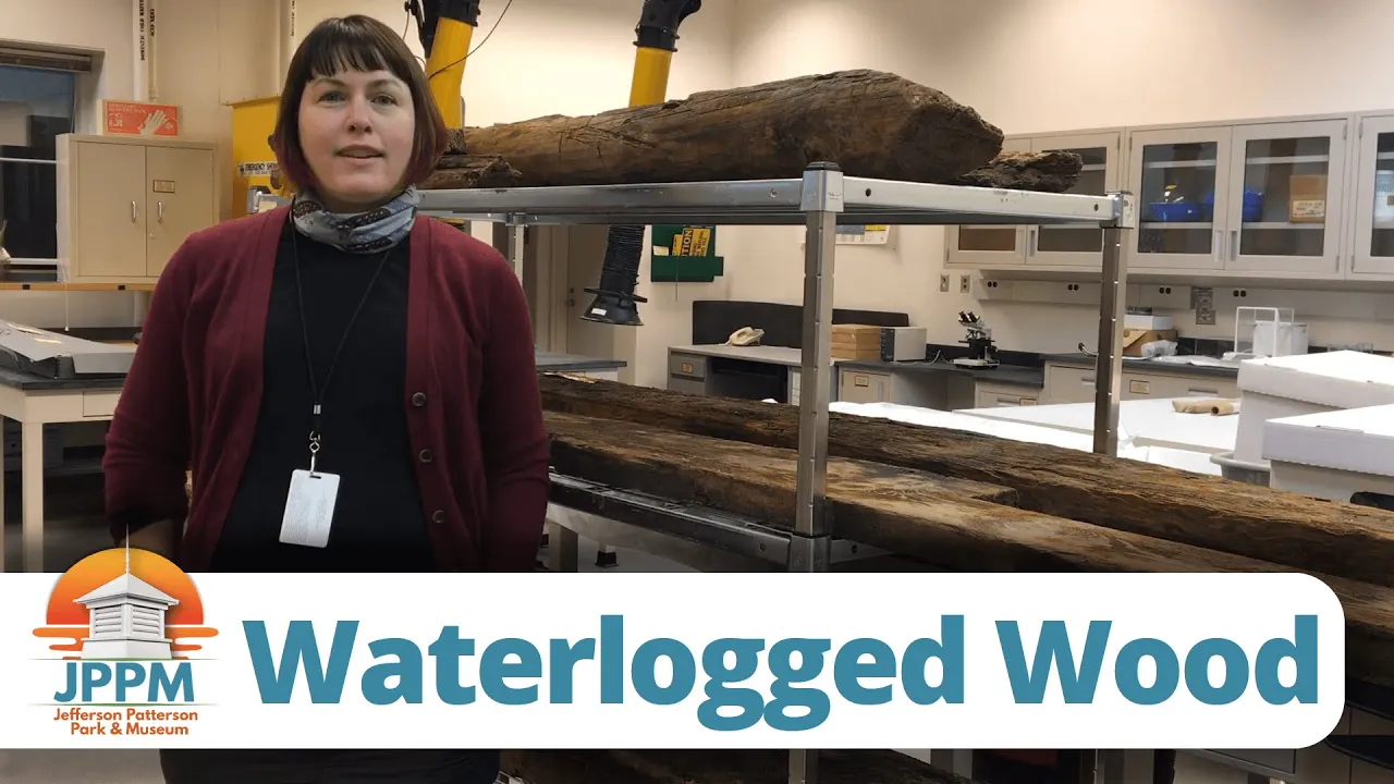 Conserving Waterlogged Wood (OER)