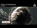 Tiësto & Mathame - Everlight (Original Mix)