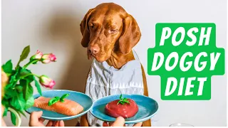 Posh Dog Diet (He eats better than us!)