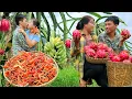Download Lagu The couple harvested 100 kg of dragon fruit and took it to the local market to sell. MP3
