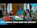 Download Lagu BERLIMPAH! Ikoh Bawa Emas Banyak Banget | DUNIA TERBALIK | EPS 292-293 (1/9)