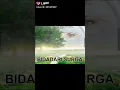 Download Lagu Tik tok surga dan neraka
