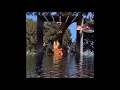 SZA - Timing EXTENDED SNIPPET