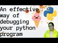 Debug your python program in effective manner Icecream Python Debug