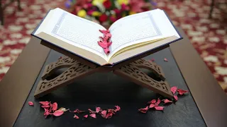 006 سورة الأنعام مشاري العفاسي بدون إعلانات 