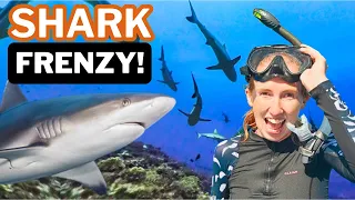WALL OF SHARKS DIVE! (Fakarava South Pass) [Ep141 RED SEAS]