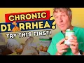 Dog Diarrhea That Won t Go Away Try This First