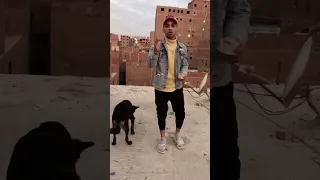 في ضهرك يا بونتي  دندنها