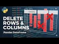 Delete Rows Columns in Pandas DataFrame Python for Class 12 NCERT