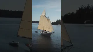 Join us on our voyage to Port Townsend! Part one is up now in long format! Enjoy!! #sailing #boats