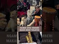 Download Lagu Ngamen Untuk Menyelamatkan Hewan Terlantar