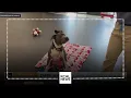 Meet Zappa the 2-year-old Pit Bull Terrier up for adoption Pet of the Week