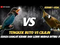 Lagu MASTERAN TENGKEK BUTO SAMBUNG CILILIN || SUARA SANGAT JERNIH DAN LEBIH MUDAH DITIRU !!