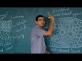 Monocot leaf anatomy
