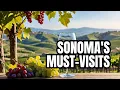 7 Best Sonoma Wine Tasting Rooms You Must Visit