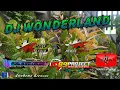 Download Lagu DJ WONDERLAND | RIZKI IRVAN NANDA 69 PROJECT | SOUND KOMPOR feat JK Pro Audio BASS GLER Terbaru 2021