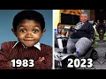 WEBSTER 1983 Cast THEN and NOW 2023 Thanks For The Memories