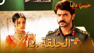 حبيبي دائما الحلقة 12 