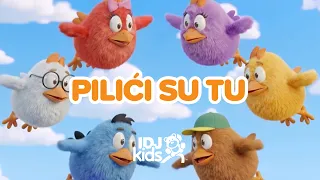 PILICI - PILICI SU TU | NAJLEPSE DECIJE PESME | @RankoDamjanovic &  @IDJKids