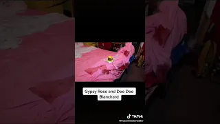 Credits to truecrimestoryteller Gypsy Rose and Dee Dee