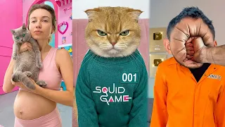 Most Beautiful Cats VIRAL MOMENTS Compilation 😻😂
